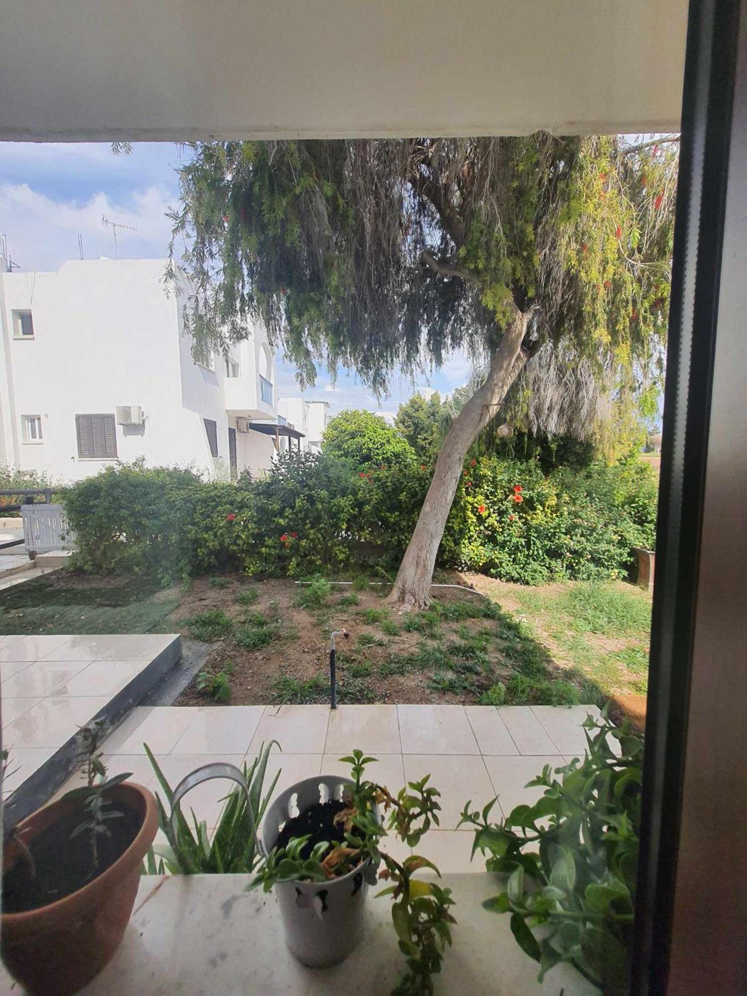 Nice Holiday Apartment بافوس المظهر الخارجي الصورة